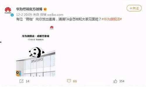 新鲜事儿大爆料直播视频,直播视频精彩瞬间回顾  第2张