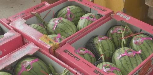 福利姬网红吃瓜,揭秘娱乐圈幕后真相  第2张